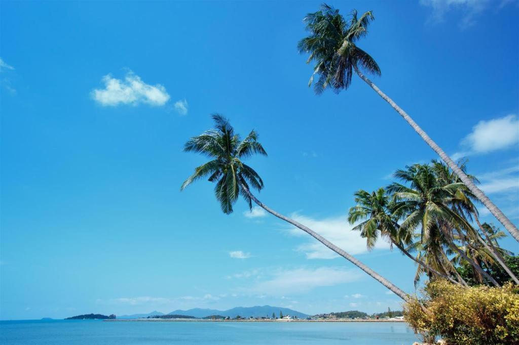 فندق Oyo 616 Bonita House Samui بوفوت المظهر الخارجي الصورة